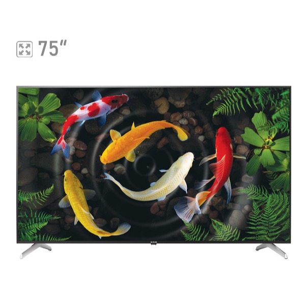 تلویزیون هوشمند 75 اینچ آیوا مدل F8